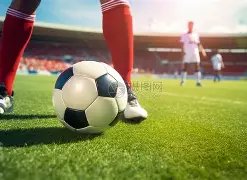 金宝博,体育,产品,金宝博188bet体育官网,APP下载,注册领彩金,官方网站,网站入口