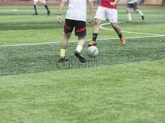 金宝博,体育,产品,金宝博188bet体育官网,APP下载,注册领彩金,官方网站,网站入口