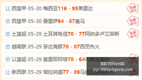 赫根客场挑战：主场强势却遇让分，数据背后的隐忧